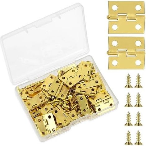 Bisagras pequeñas de estilo clásico con acabado dorado en hierro (50 unidades) con tornillos de 7 mm (200 unidades) para cajas de madera (1/5)