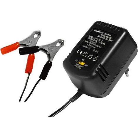 Caricabatterie Automatico Universale 2V, 6V, 12V (600mA) - Ideale su Moto d'Epoca, Giocattoli e Modellismo - Pinze a Coccodrillo