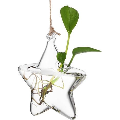 Vase suspendu en verre transparent pour la décoration intérieure, usage polyvalent et gain de place (1/5)