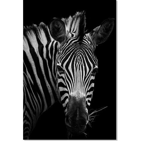 Affiche Zèbre en noir et blanc - 40x60cm - made in France (1/5)