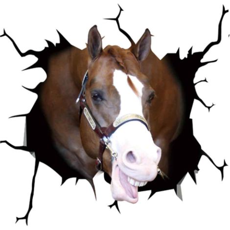 1 Sticker électrostatique, Tête de cheval, Design créatif, Matériau imperméable, Surface lisse, Vitres voiture maison (1/5)