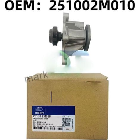 Kühlmittelpumpen-Kit 251002M010 für Hyundai Elantra Cona (1/2)