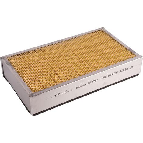 Filtro de papel GOLDONI 00045140 (1/2)