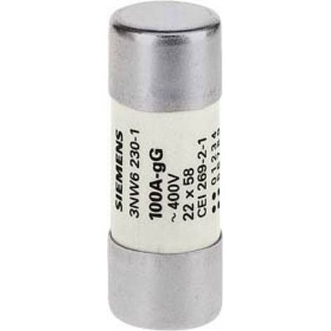 Fusibile Cilindrico 22X58 100A Gg ( Siemens Cod. 3Nw62301 )