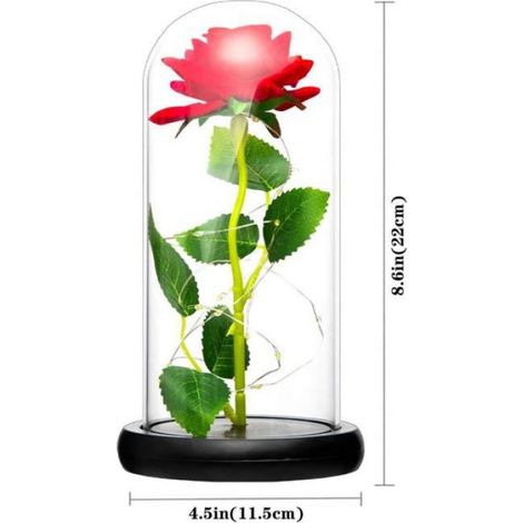 Fleur - - Rose Rouge Eternelle - Dôme en Verre - LED Lumineux - Cadeau Saint-Valentin (1/4)