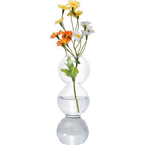 Vase Hydroponique - Vase Terrarium Transparent En Verre - Pour Bureau Maison Salon Chambre - Lot De 1 (1/5)