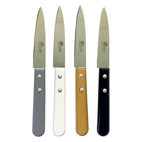 Set Couteaux Office ESSENTIELS 4 Pièces Manches Couleur en Bois 9 cm - Pradel