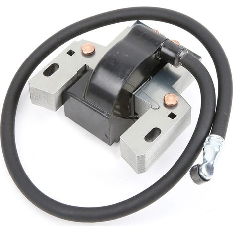 Bobina De Encendido BRIGGS & STRATTON 490586, 491312, 492341