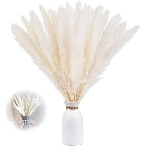 – Lot de 30 herbes de pampa séchées 60 cm – Décoration naturelle pour intérieur – Texture relaxante – Sans odeur et durable (1/5)