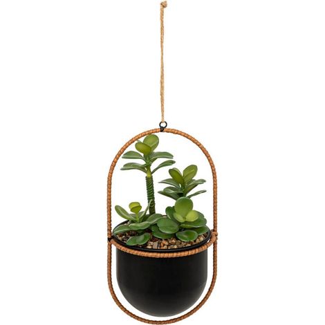 Plante Artificielle Suspendue "Tyla" 31cm Noir (1/2)