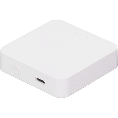 Passerelle Zigbee 3.0 avec Connexion WiFi, Bluetooth et Application pour Smart Home Hub Domotique USB-C (1/5)