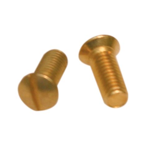 Viti Ottone Per Coprinterruttori Placche Interruttori 10 Pz (1/4)