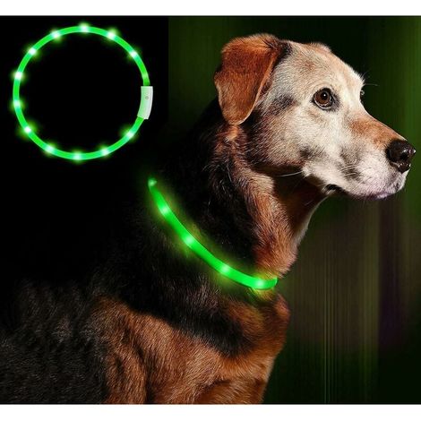 Collier pour chien LED lumineux, rechargeable, clignotant, garantissant la sécurité de votre chien. Taille unique, ajustable pour toutes les tailles de chiens, avec 3 modes et 12 lumières. RTGPT (Vert (1/5)