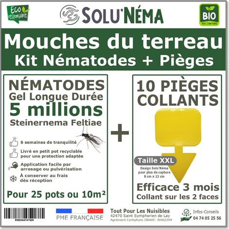 Kit Mouches des terreaux - 5 millions Nématodes et 10 pièges collants XXL (1/4)