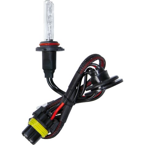 12/24V Lampadina HID Xenon 8.000K - H10 - 1 pz  - Scatola (1/2)