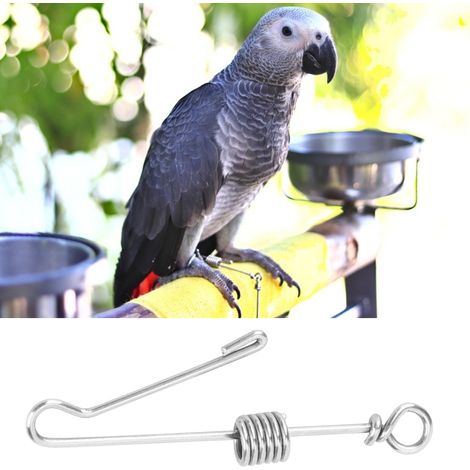 Chaîne de cheville en acier inoxydable pour perroquet de compagnie, anti-vol (taille moyenne) (1/5)