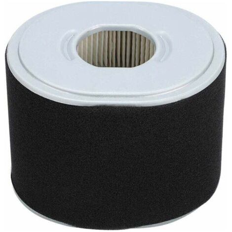 Filtro aria per tosaerba compatibile con Honda GX390 GX340 11 13 CV