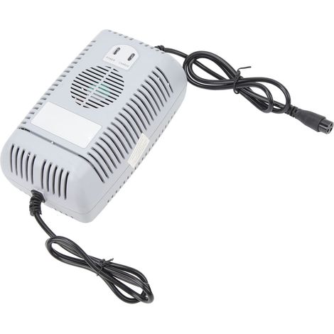 Chargeur de batterie au lithium pour scooter électrique et vélo électrique 48V (1/5)