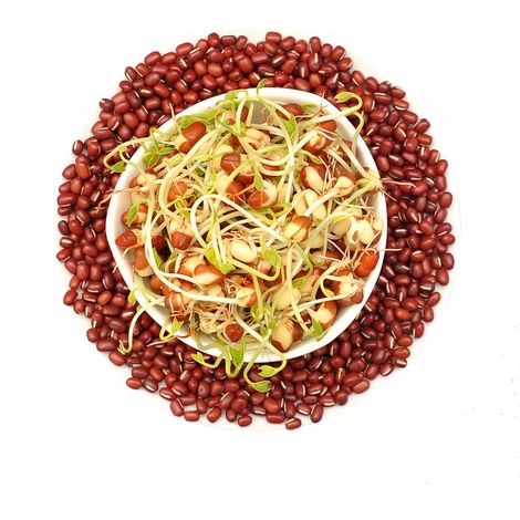 Semillas de judías adzuki - 500 g para germinar (1/5)