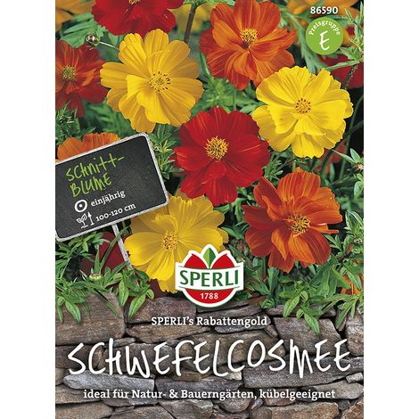 Sperli Schwefelkosmeen SPERLI´s Rabattengold - Blumensamen (1/2)