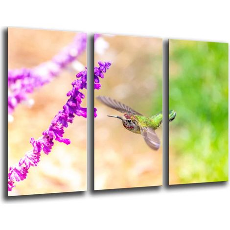 Cadre photo poster photographique multicolore 97 x 62 cm (1/3)