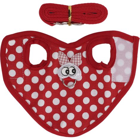 Vêtements Chinchilla pour animaux de compagnie, gilet chaud d'hiver, cochon d'inde, petit lapin, vêtements avec corde de Traction (1/5)