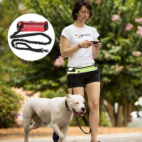 Corde de traction pour chien, laisse mains libres avec sac banane, harnais réfléchissant rétractable à ceinture élastique, accessoires pour chiens (1/5)