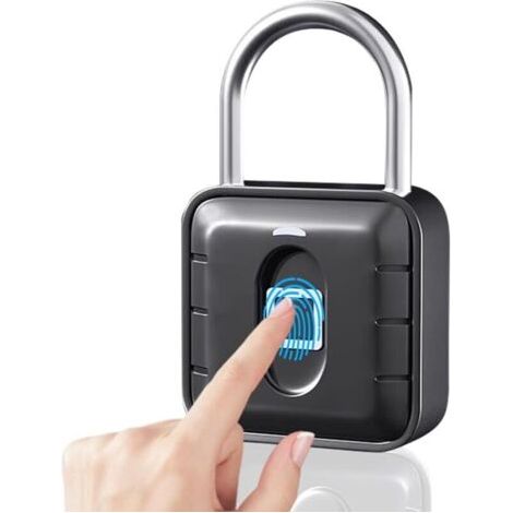 BUNTHAUS Cadenas Empreinte Digitale, Serrure à Empreintes Digitales, Casier Biométrique Intelligent sans Clé, Petit Casier étanche à la Pluie pour Porte D'armoire (Biométrique)