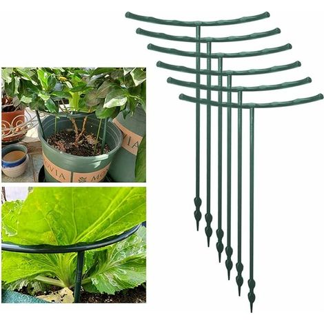 Lot de 12 tuteurs semi-circulaires pour plantes en pot, treillis grimpant pour plante grimpante Monstera, Serpent et Rose, (1/5)