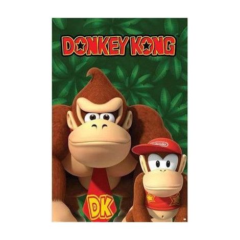 Poster Nintendo Donkey Kong e Diddy Kong Maxi