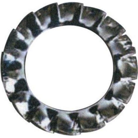 RONDELLA DENTELLATA ESTERNA M6 (1/2)