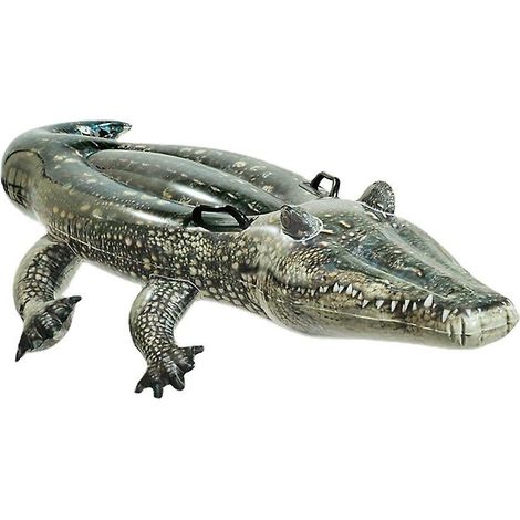 Bouée d'alligator à cheval (1/5)