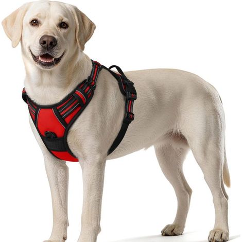 Pigo Harnais Chien XL Rouge Anti Traction Réfléchissant Gilet Réglable pour Chien Attache Devant Crochet de Laisse pour Randonnée (1/4)