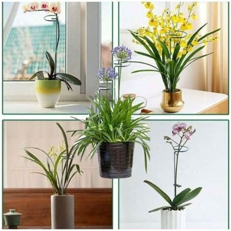 Ensemble de 6 supports pour plantes en fer, structure de jardin surélevée, support pour plantes grimpantes en pot, outils de jardinage essentiels pour l'intérieur et l'extérieur (25 cm) (1/3)
