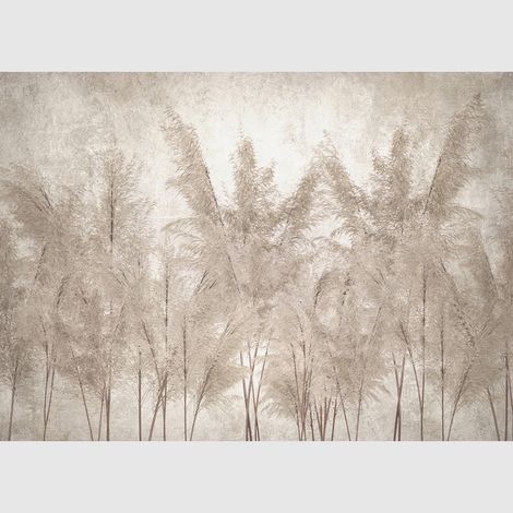 Papier peint intissé - Dim Pampas - 375x270 cm (1/5)