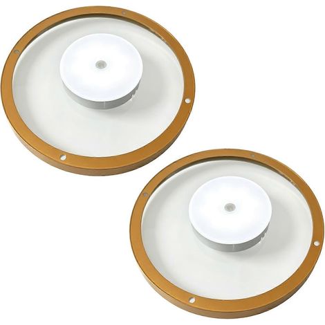 Étagère murale flottante à LED – Métal doré pour plantes et livres (1/5)