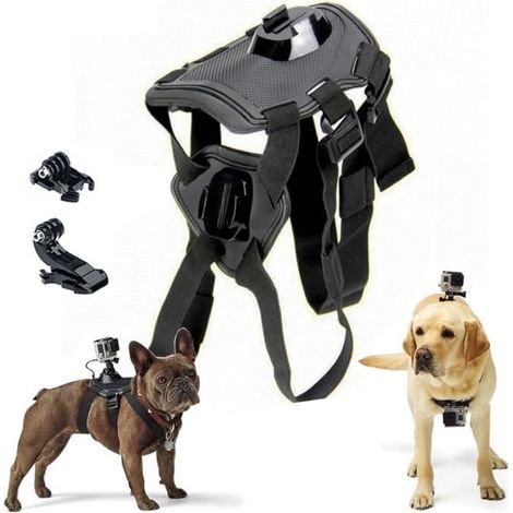 Accessoire Camescope,Harnais réglable pour chien, ceinture de poitrine pour Gopro hero8 7 6 5 4 3, support de caméra de sport pour (1/4)