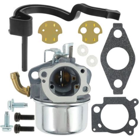 Kit de carburador 591925, apto para carburador 698479 693518 698475 205cc, motor 110432-0179-E1 (1/5)
