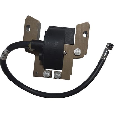 Accensione elettronica motore Briggs&Stratton 3HP, 4HP compatibile