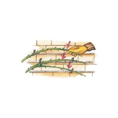 SOPORTE TREPADORA VERDE (15 PZ.