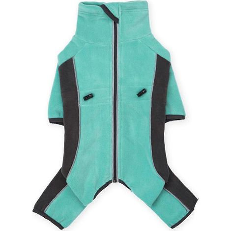 Combinaison d'hiver pour chien, polaire épaisse et chaude, pour petits chiens, vêtements réfléchissants et coupe-vent pour chiots, taille XS ajustable (1/5)
