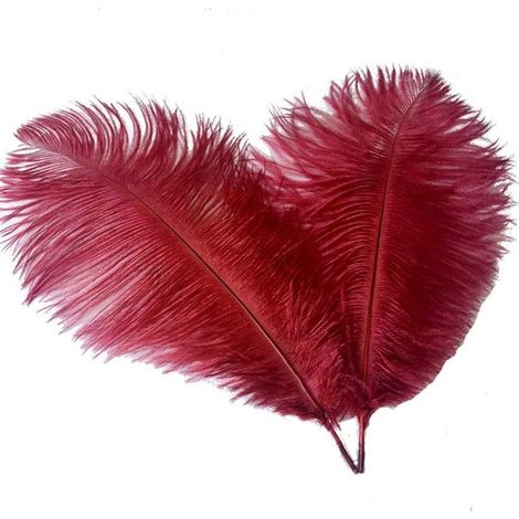Plumes d'autruche pour centre de table - Mariage - Dîner - Décoration intérieure - Lot de 10 (Rouge vin) Multicolore (1/3)