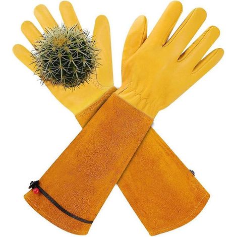 Filiyano-Gants de jardinage longs femme/homme - Gants de taille de rosiers résistants aux épines - Taille M (1/5)