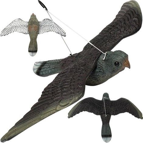 Repest vogelabwehrmittel 8627 (1/5)