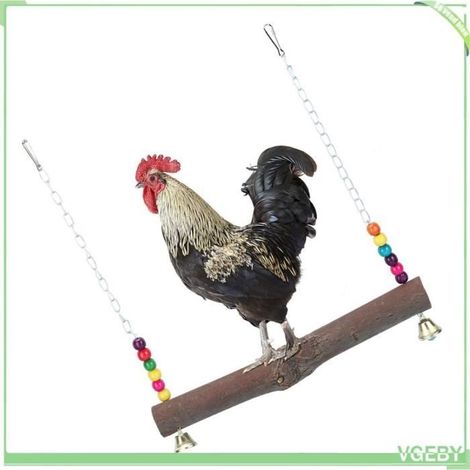 Jouet Balançoire en Bois Naturel pour Poules, Perroquet, Cage à Suspendre, Jouet d'exercice pour Poules (1/4)