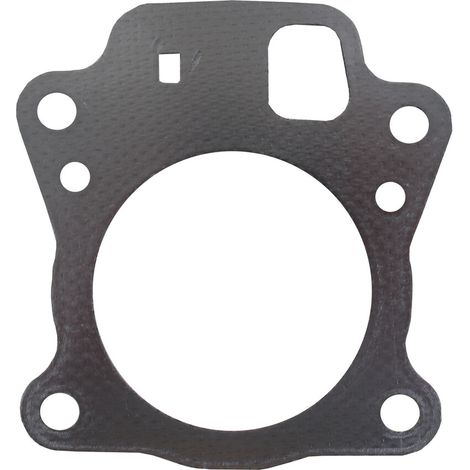 Guarnizione testa Briggs et Stratton 796475