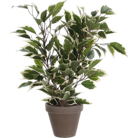 Mica Kunstpflanze Ficus Natasja grün bunt im Topf 40 x 30 cm Kunstpflanzen