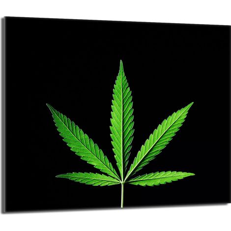 Placa protectora de vidrio para estufa 60x52 Hoja (1/5)