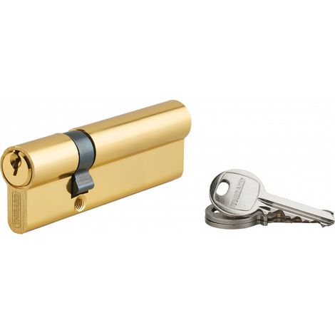 Cylindre de serrure double entrée 30x70mm – Aluminium anti-arrachement – 3 clés en acier nickelé – Mécanisme 5 goupilles – SP (1/4)