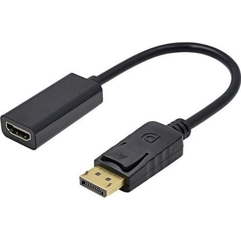 Cavo adattatore da DisplayPort maschio a HDMI femmina, convertitore Full HD (1/2)